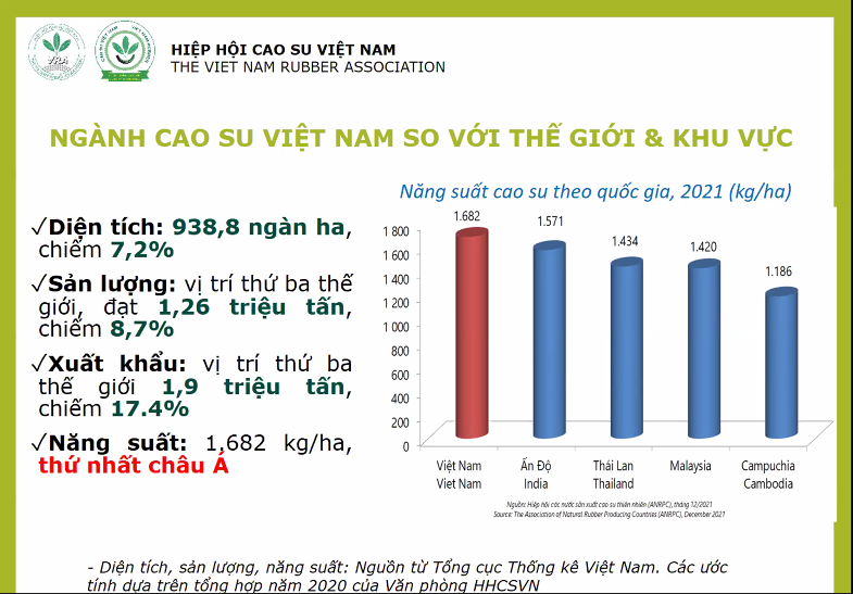 Xuất khẩu ngành cao su lên tới 9,5 tỷ USD, nhưng đối mặt nhiều thách thức